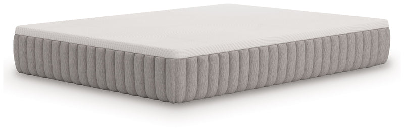 Terra Sleep Medium - Mattress - JaxCo Furniture
