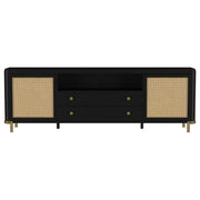 Arini - Rattan Cane 2-Door TV Stand Media Console - JaxCo Furniture