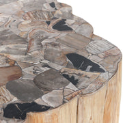 Norwest - Petrified Wood Coffee Table - Natural - JaxCo Furniture