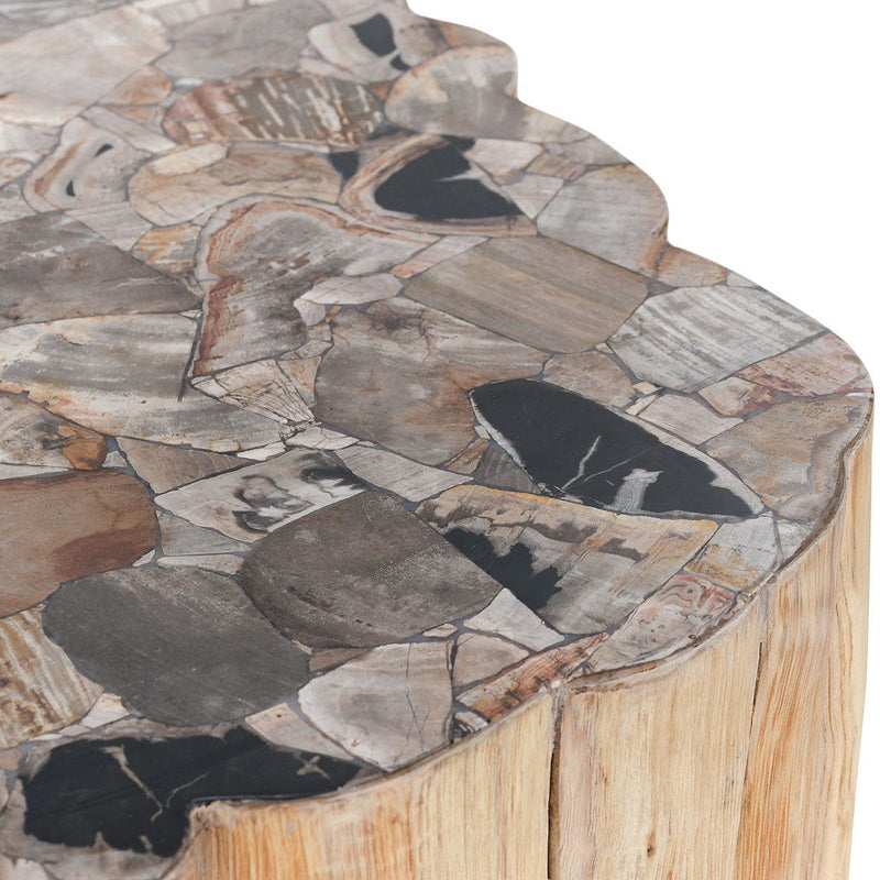 Norwest - Petrified Wood Coffee Table - Natural - JaxCo Furniture