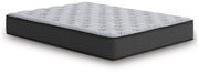 Comfort Plus - Mattress - JaxCo Furniture