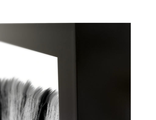 Zebras - 48" x 72" Photography - Black / White - JaxCo Furniture