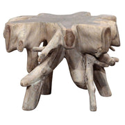 Cypress - Teak Root End Table - JaxCo Furniture