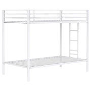 Alevera - Metal Bunk Bed With Ladder - JaxCo Furniture