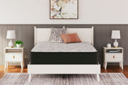 Elite Springs Plush - Mattress - JaxCo Furniture