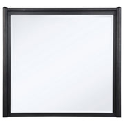 Leandro - Dresser Mirror - Burnished Black - JaxCo Furniture