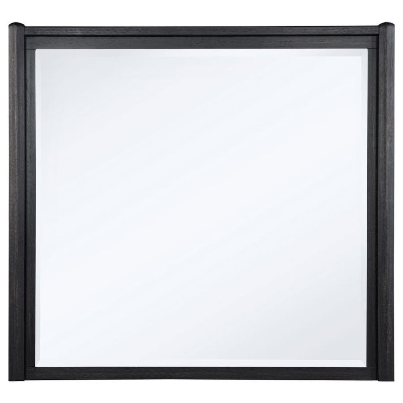 Leandro - Dresser Mirror - Burnished Black - JaxCo Furniture