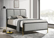 Arini - Upholstered Panel Bed - JaxCo Furniture