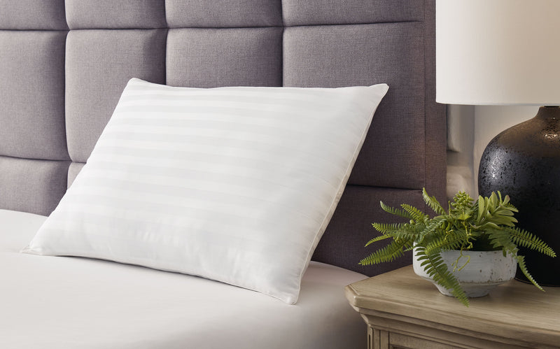 Zephyr 2.0 - Cotton Pillow - JaxCo Furniture