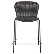 Mckinley - Faux Rattan Metal Chair (Set of 2) - JaxCo Furniture