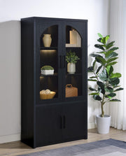 Riva - 4-Door Tall Accent Display Cabinet LED Lighting - Black - JaxCo Furniture