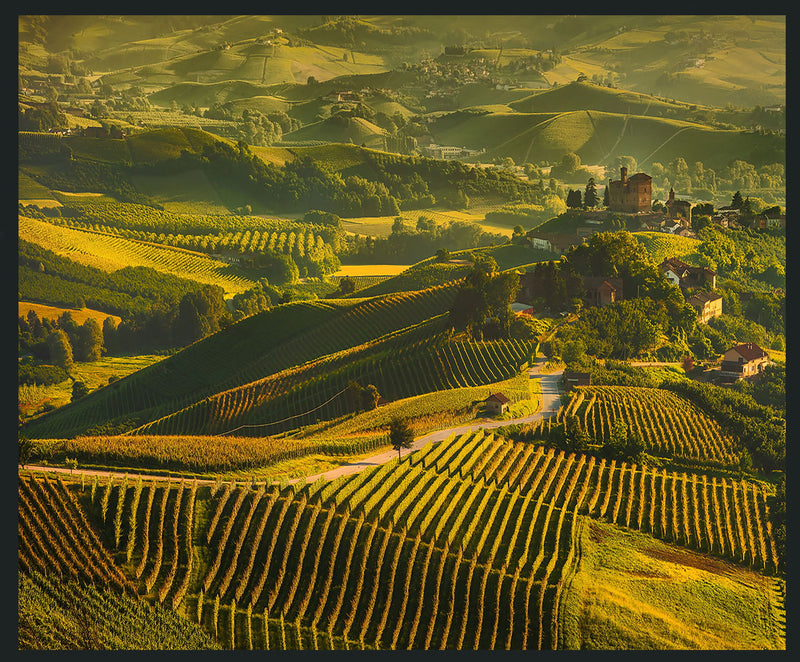 Vinyard - 48" x 72" Photography - Green - JaxCo Furniture