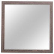 Brantford - Dresser Mirror - JaxCo Furniture