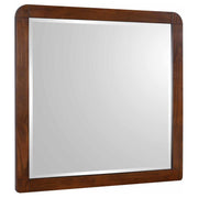 Robyn - Dresser Mirror - JaxCo Furniture