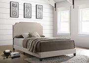 Tamarac - Upholstered Panel Bed - JaxCo Furniture