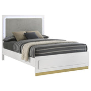 Caraway - Wood LED Panel Bed - JaxCo Furniture