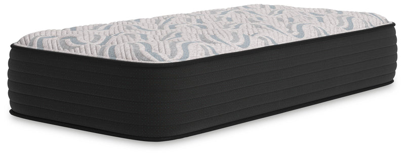 Elite Springs Plush - Mattress - JaxCo Furniture