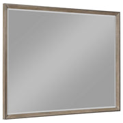 Durango - Dresser Mirror - JaxCo Furniture