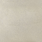 Saffi - Cream - Ceramic Table Lamp - JaxCo Furniture