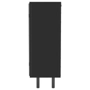 Dalia - 2 Door Accent Storage Cabinet With Shelving - Black - JaxCo Furniture