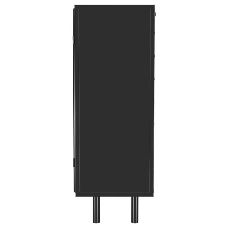 Dalia - 2 Door Accent Storage Cabinet With Shelving - Black - JaxCo Furniture