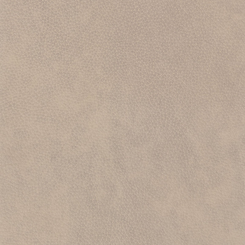 Audrey - Daybed - JaxCo Furniture