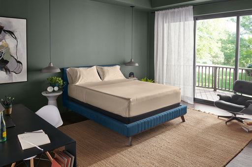 Tempur-Adapt - Luxe Egyptian Cotton Sheets - JaxCo Furniture