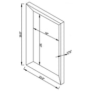 Pinciotti - Beveled Frame Wall Mirror - Silver - JaxCo Furniture