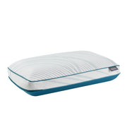 Tempur-Adapt - Tempur-Pedic Adapt ProHi 2.0 - JaxCo Furniture