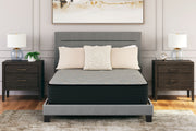 Palisades Firm - Mattress - JaxCo Furniture