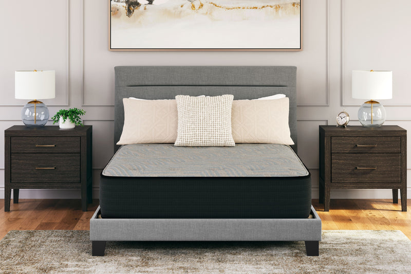 Palisades Firm - Mattress - JaxCo Furniture