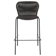 Mckinley - Faux Rattan Metal Chair (Set of 2) - JaxCo Furniture