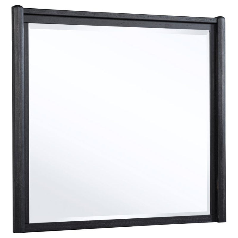 Leandro - Dresser Mirror - Burnished Black - JaxCo Furniture