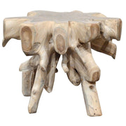 Cypress - Teak Root End Table - JaxCo Furniture