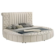 Sonya - Upholstered Round Storage Bed - JaxCo Furniture