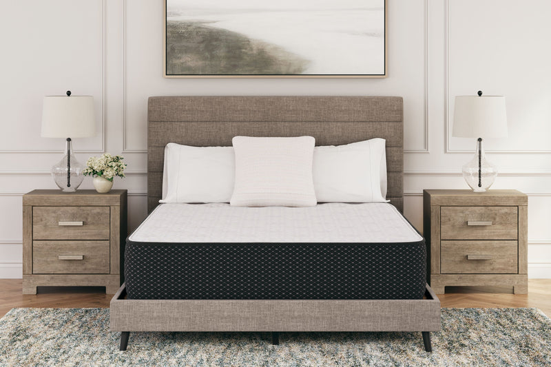 Limited Edition Plush - Mattress - JaxCo Furniture
