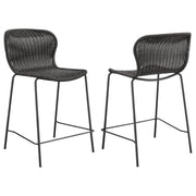 Mckinley - Faux Rattan Metal Chair (Set of 2) - JaxCo Furniture