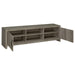 Burke - 2 Door Engineered Wood TV Stand - Gray Driftwood - JaxCo Furniture