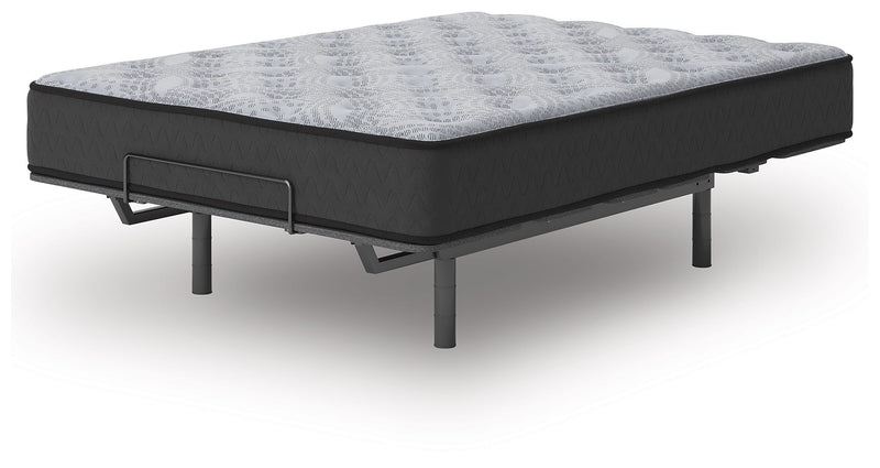 Comfort Plus - Mattress - JaxCo Furniture