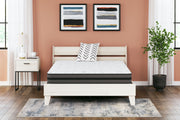 10 Inch Pocketed Hybrid - Mattress - JaxCo Furniture