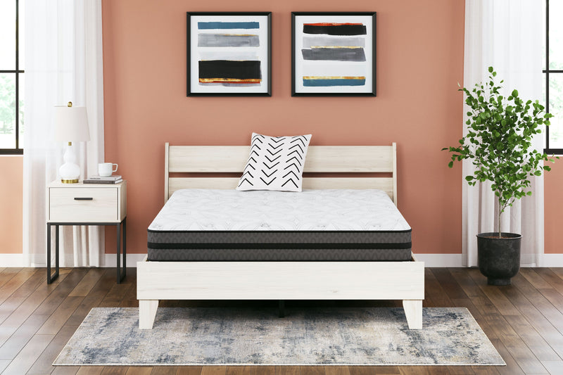 10 Inch Pocketed Hybrid - Mattress - JaxCo Furniture