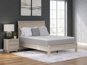 Terra Sleep Medium - Mattress - JaxCo Furniture