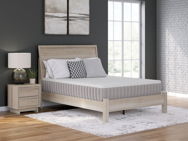 Terra Sleep Medium - Mattress - JaxCo Furniture