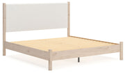Cadmori - Upholstered Panel Bed - JaxCo Furniture