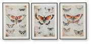 Jossletts - Orange / Black / Ivory - Wall Art Set (Set of 3) - JaxCo Furniture