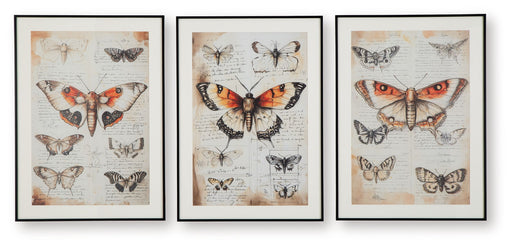 Jossletts - Orange / Black / Ivory - Wall Art Set (Set of 3) - JaxCo Furniture