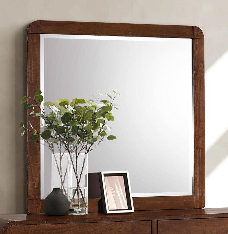 Robyn - Dresser Mirror - JaxCo Furniture